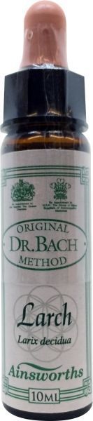 DR.BACH Ainsworths Larch 10ml