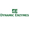DYNAMIC ENZYMES