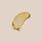 16856