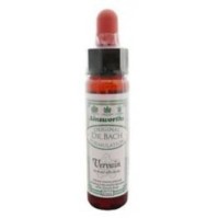 DR.BACH Ainsworths Vervain 10ml