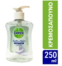 Dettol Soft on Skin Hard on Dirt Liquid Sensitive …