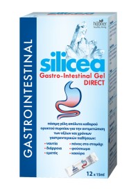 Hubner Silicea Gastro-Intestinal Gel Direct 12 x 1 …