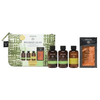 Apivita Promo Bee Ready to Go Tonic Mountain Tea M …