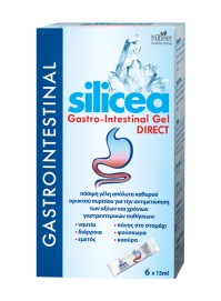 Hubner Silicea Gastro-Intestinal Gel Direct 6 x 15 …