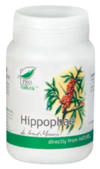 AM HEALTH PRONATURA HIPPOPHAE - ΙΠΠΟΦΑΕΣ 60 Caps