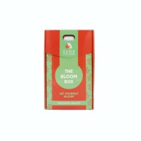Aloe+ Colors Xmas Set The Bloom Box με Bloom Hand &hellip;