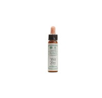 DR.BACH Ainsworths Wild Rose 10ml