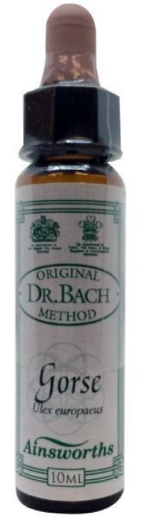 DR.BACH Ainsworths Gorse 10ml