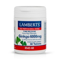 Lamberts Ginkgo Biloba Extract 6000mg 60Tabs