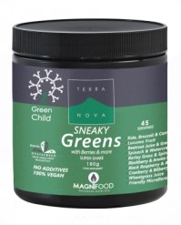 TERRANOVA Green Child Sneaky Greens Super-shake 18 …